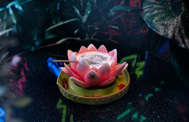 W50BB20-SalmonGuru-3